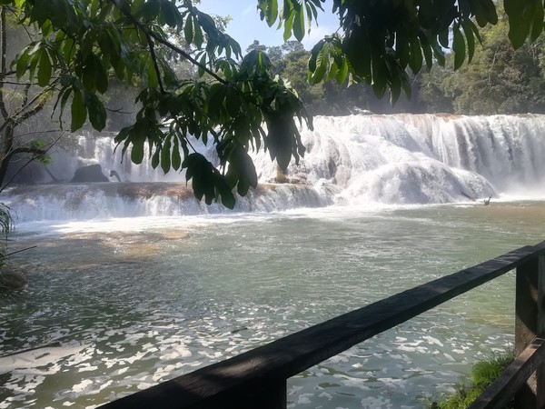Agua Azul Mexique
